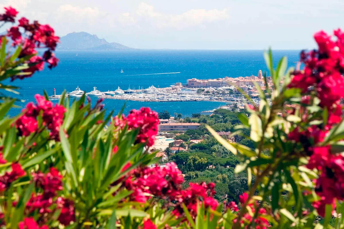 Весна в Сочи